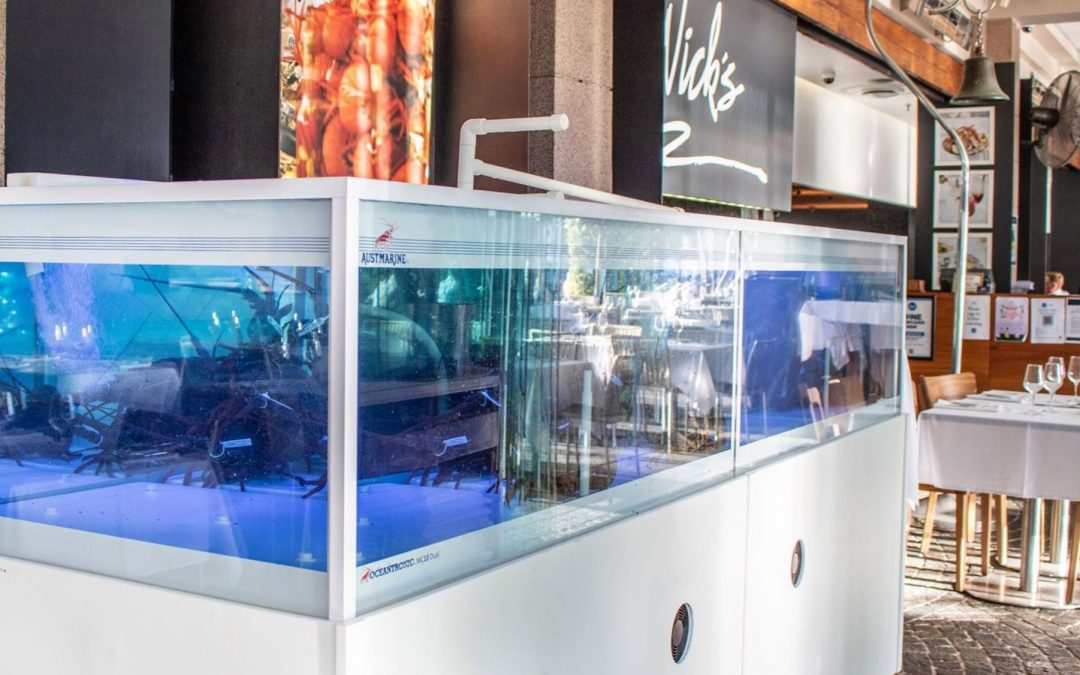 The Appeal of Live Seafood Display Tanks in Restaurants